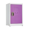 Adiroffice 24" H x 15" W Steel Single Tier Locker ADI629-02-PUR